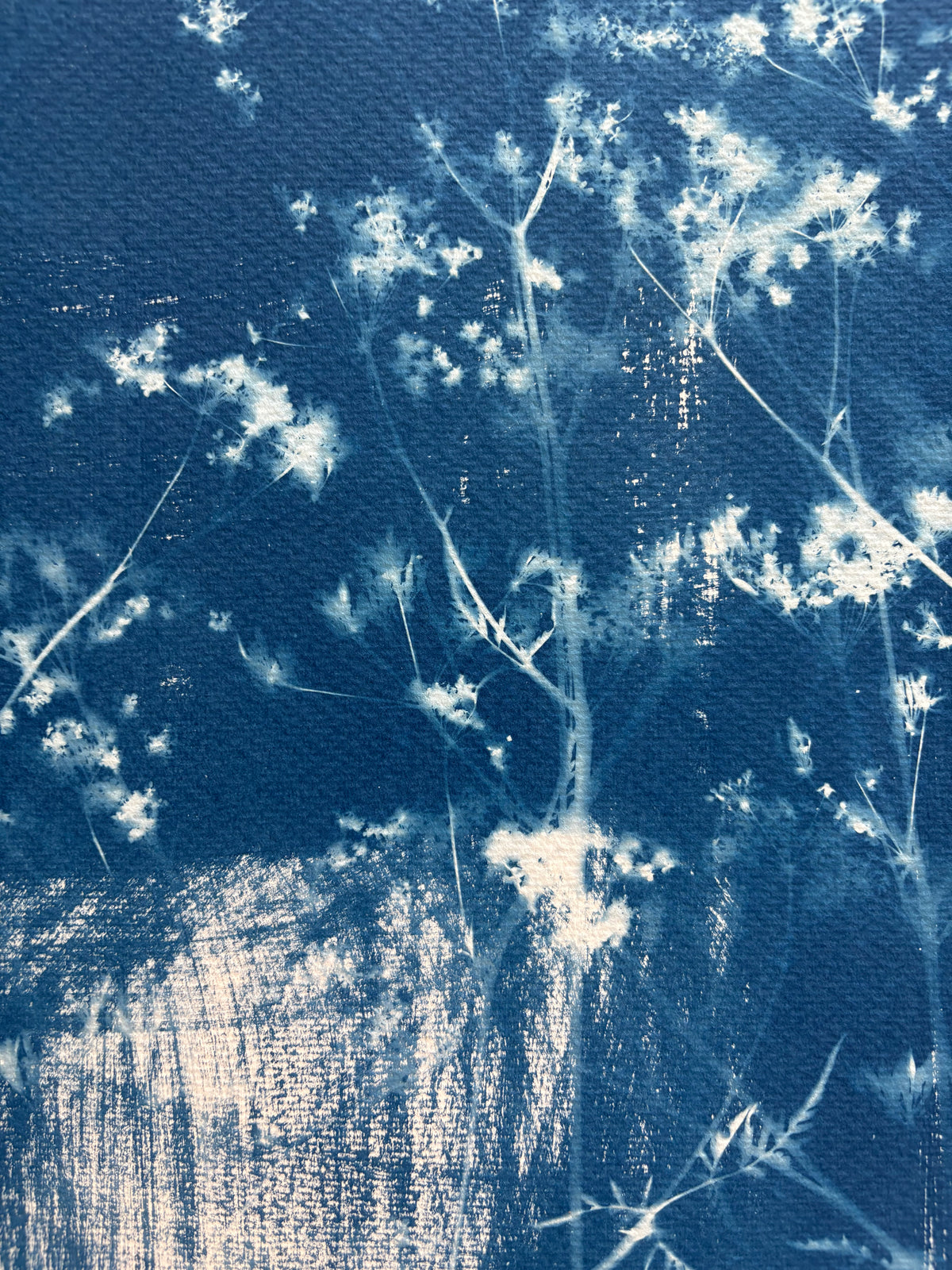 Cow Parsley brush strokes (15x22") Original Print - SALE