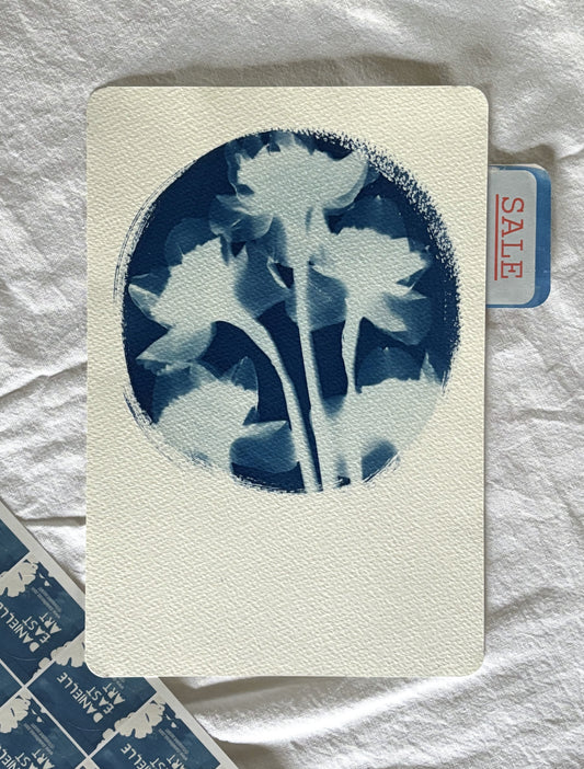 Daffs 28x19cm (approx) Original Print SALE