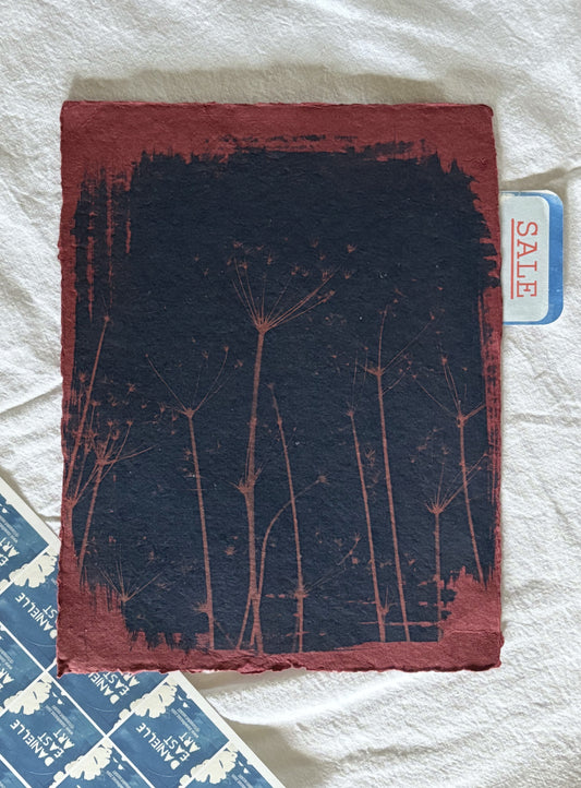 Dark Red Parsley Stems 22x28cm (approx) Original Print