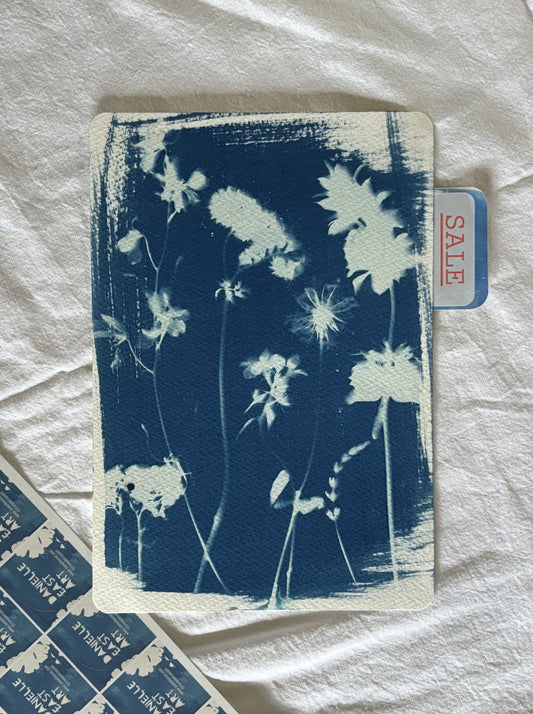 Dried Stems 19x28cm (approx) Original Print