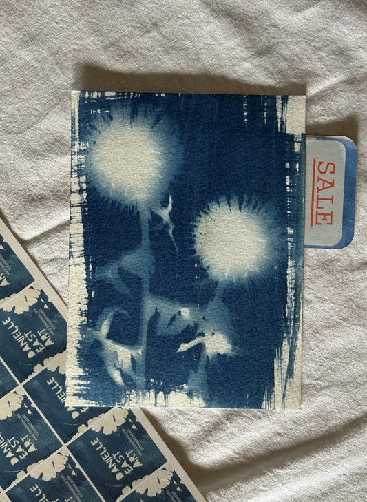 Echinop Experiment 14x19cm - Original Print - SALE