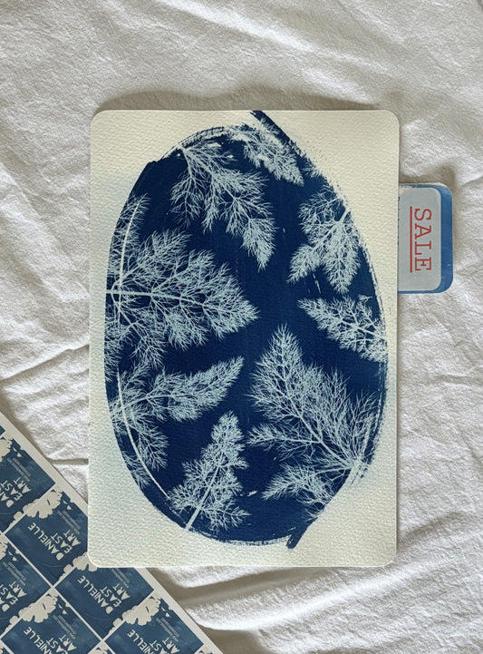 Fennel Leaves 28x19cm (approx) Original Print SALE