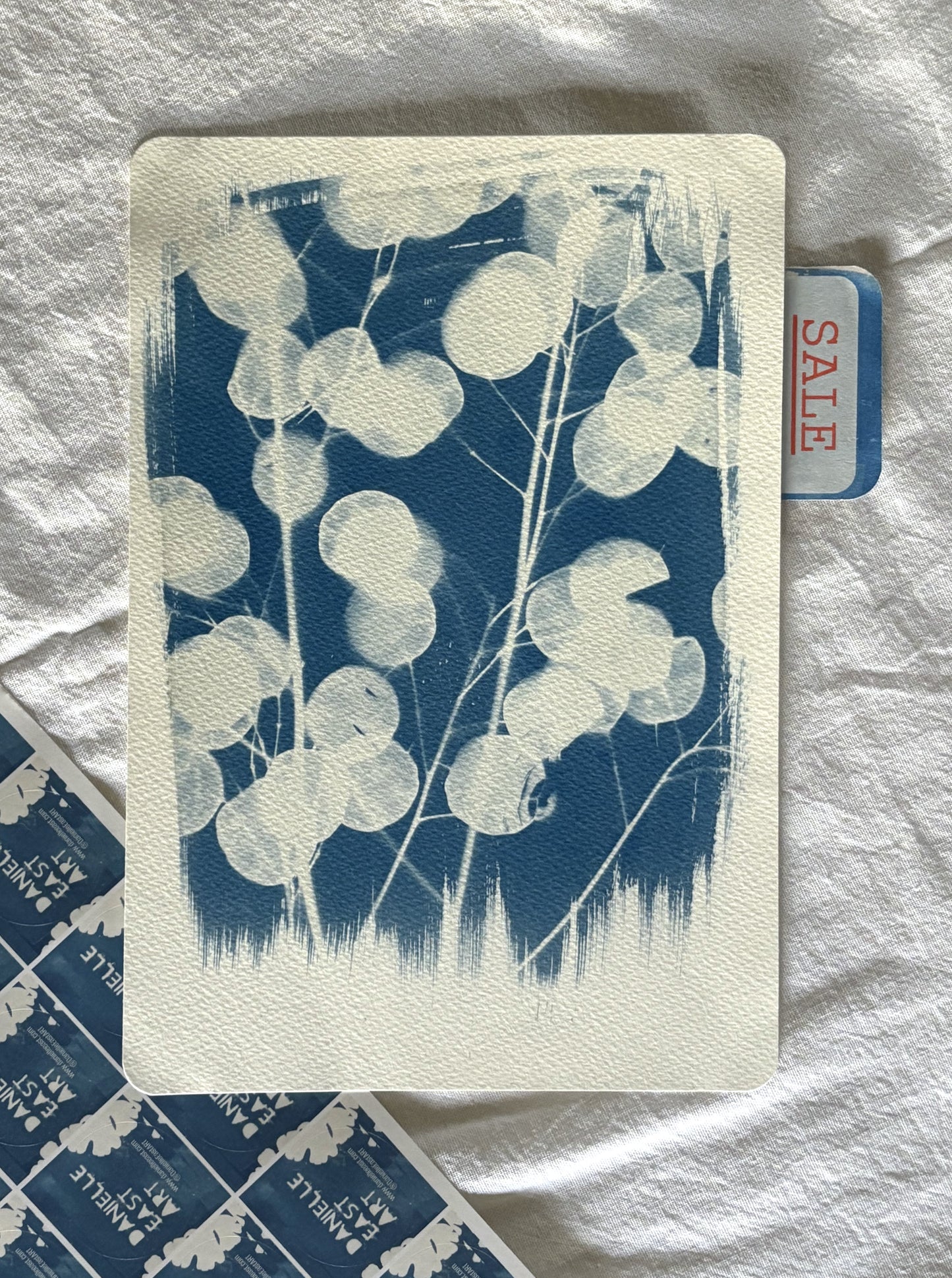Hazey Honesty Cyanotype 28x19cm (approx) Original Print SALE