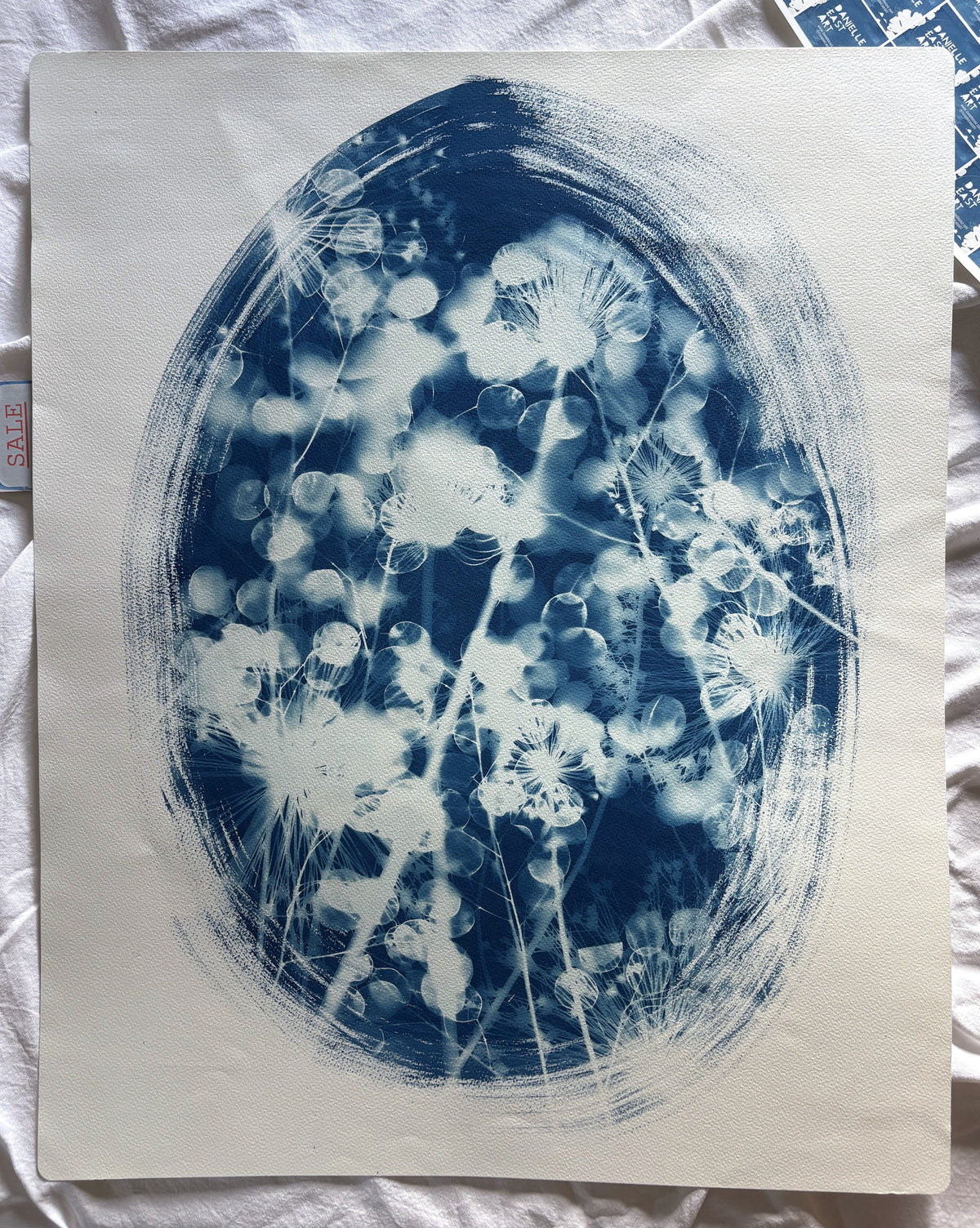 Allium and Honesty Oval (22x30") Original Print - SALE