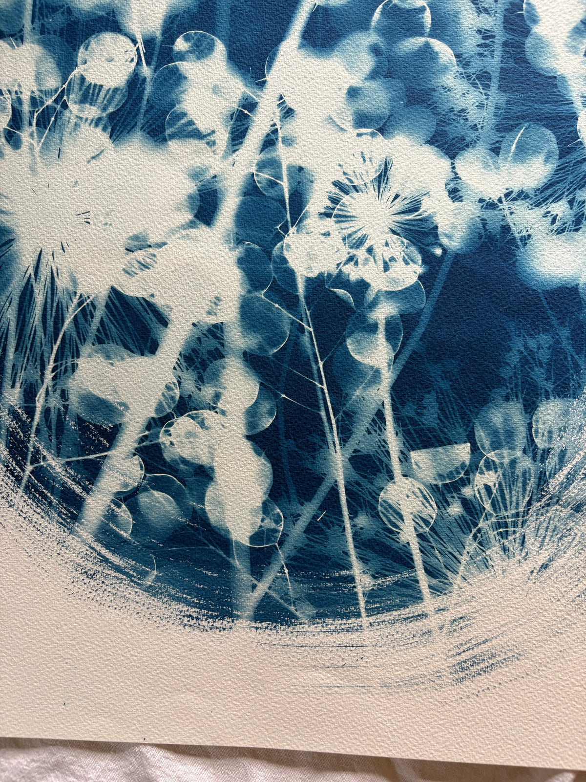 Allium and Honesty Oval (22x30") Original Print - SALE