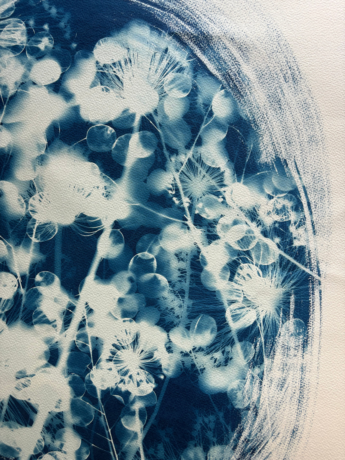 Allium and Honesty Oval (22x30") Original Print - SALE