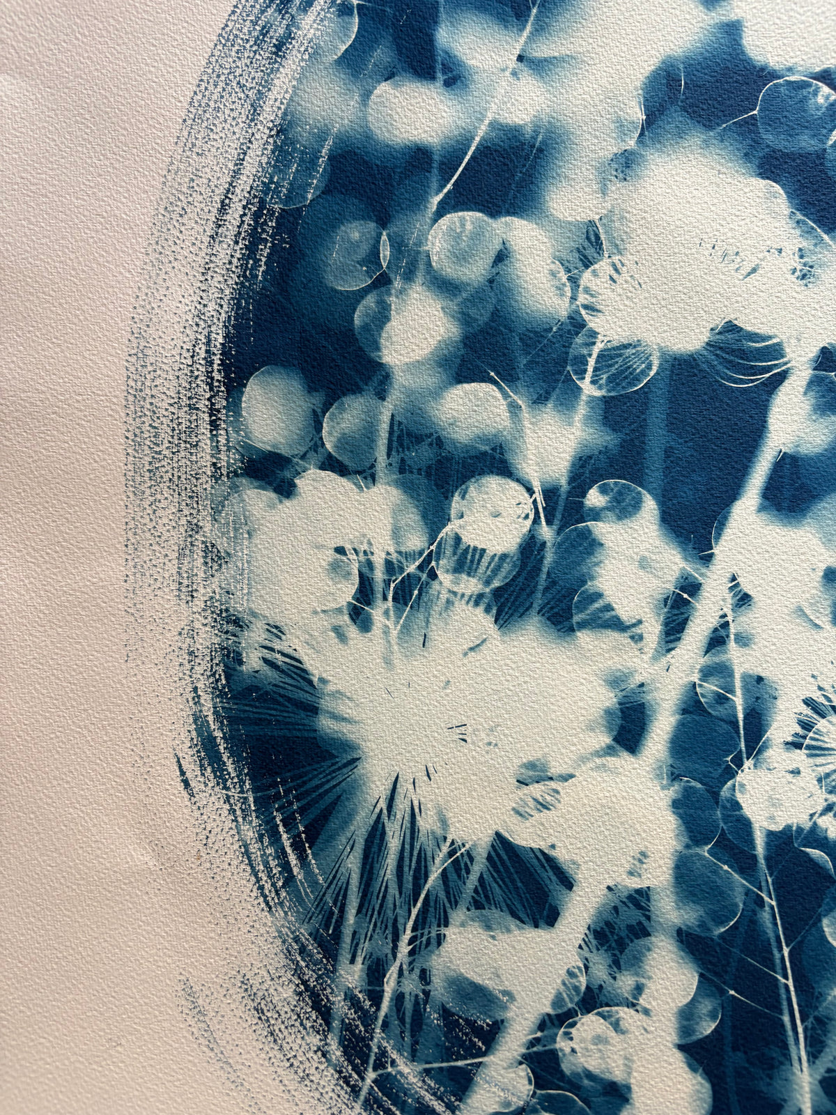 Allium and Honesty Oval (22x30") Original Print - SALE