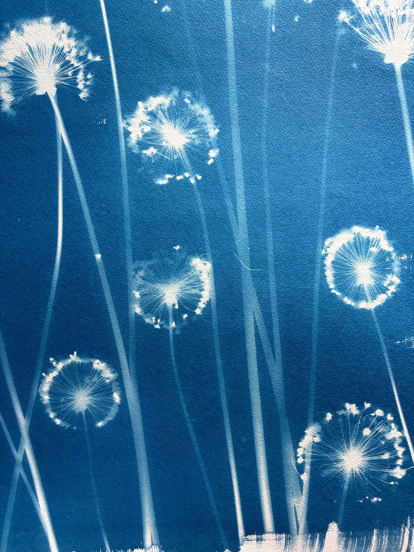 Alliums (22x30") Original Print - SALE