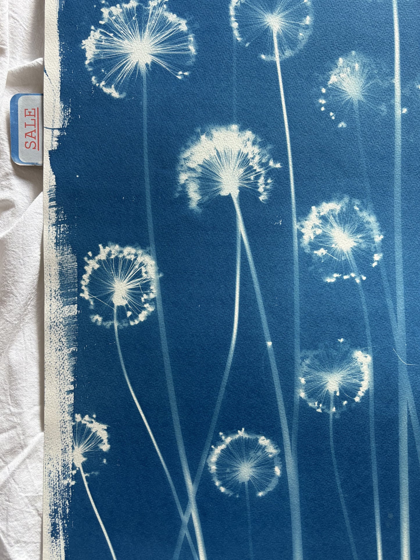 Alliums (22x30") Original Print - SALE