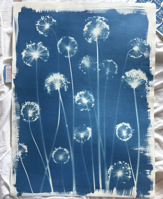 Alliums (22x30") Original Print - SALE