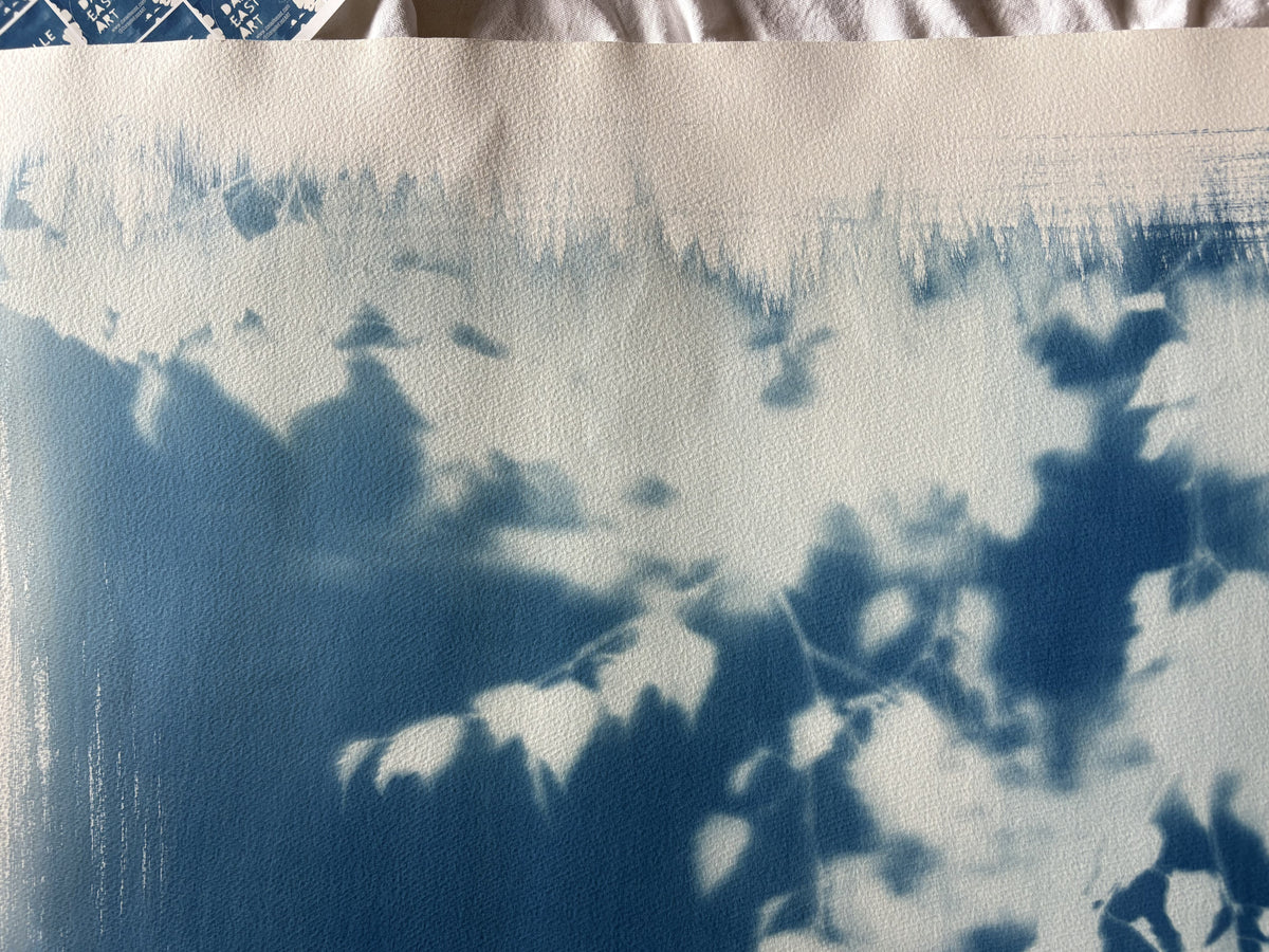 Birch Tree blurred edges (22x30") Original Print - SALE