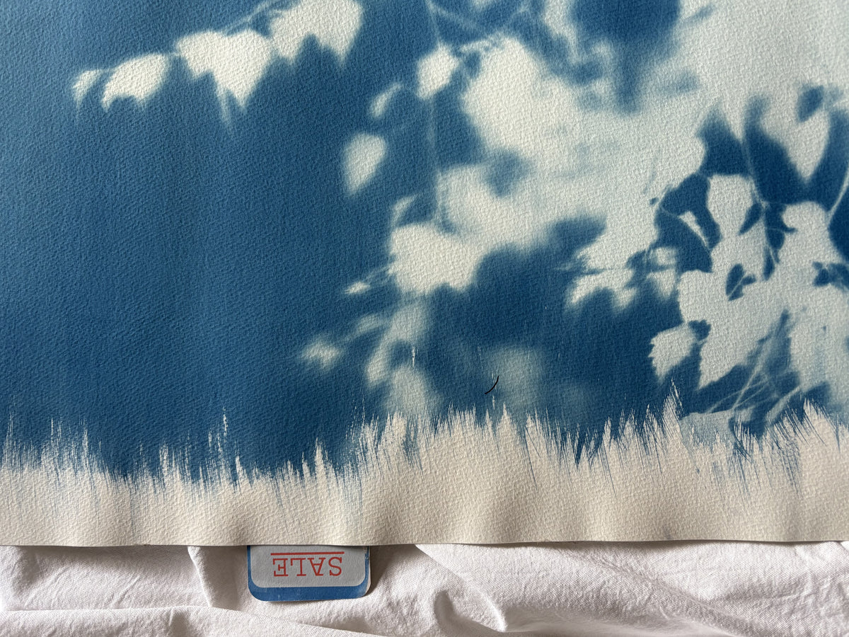 Birch Tree blurred edges (22x30") Original Print - SALE