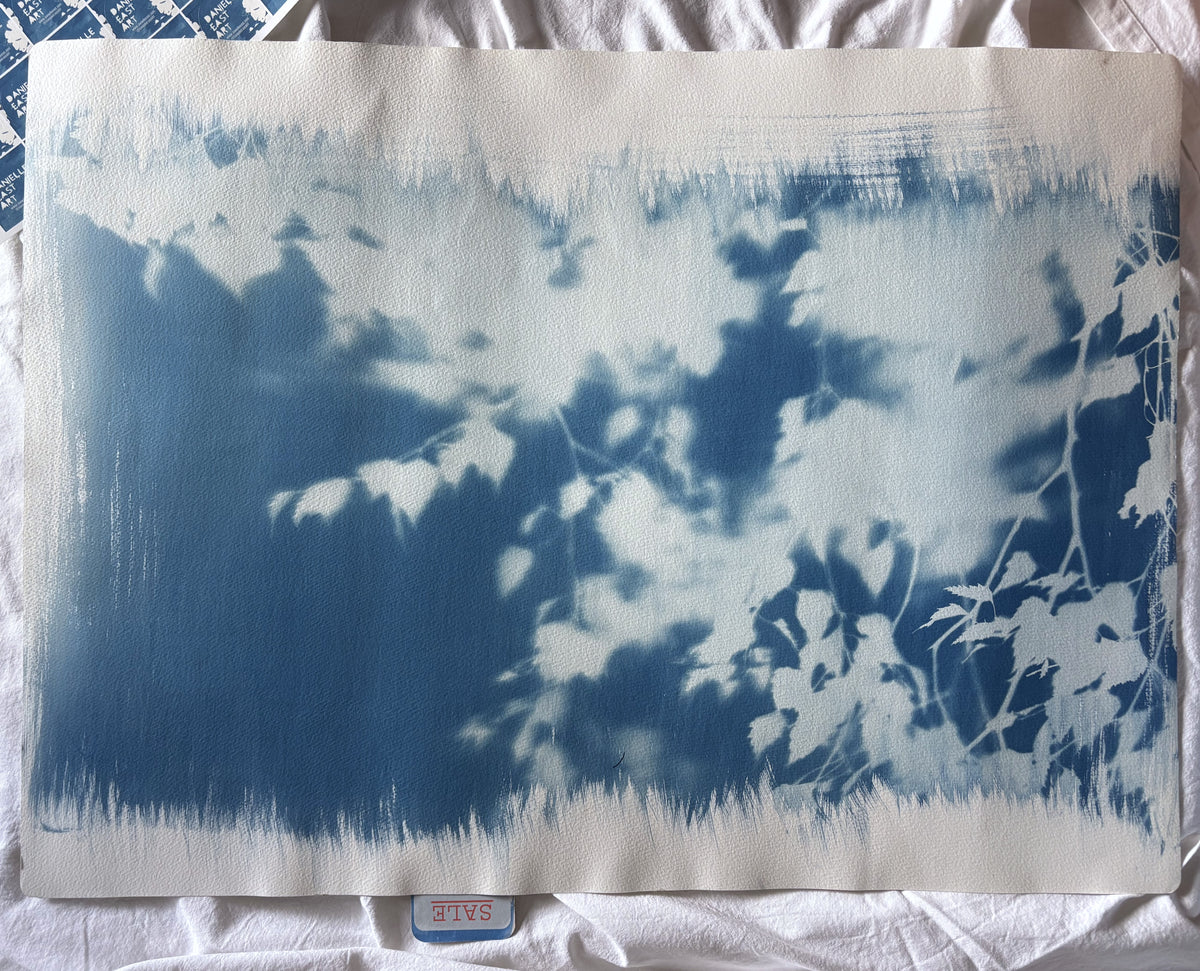 Birch Tree blurred edges (22x30") Original Print - SALE