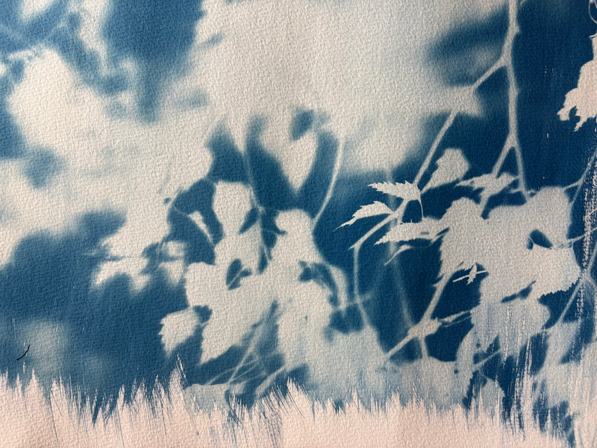 Birch Tree blurred edges (22x30") Original Print - SALE