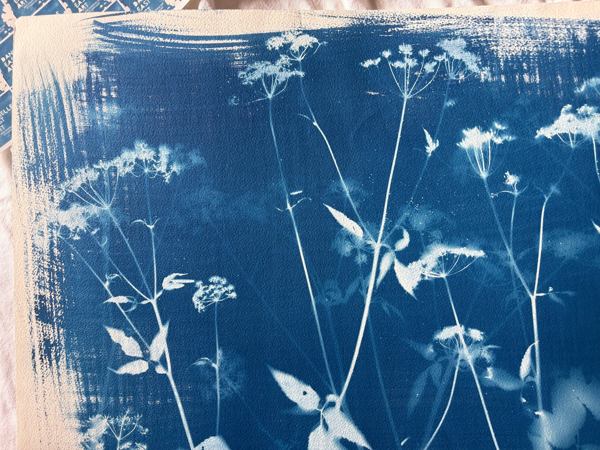 Full Unknown Umbellifer (22x30") Original Print - SALE