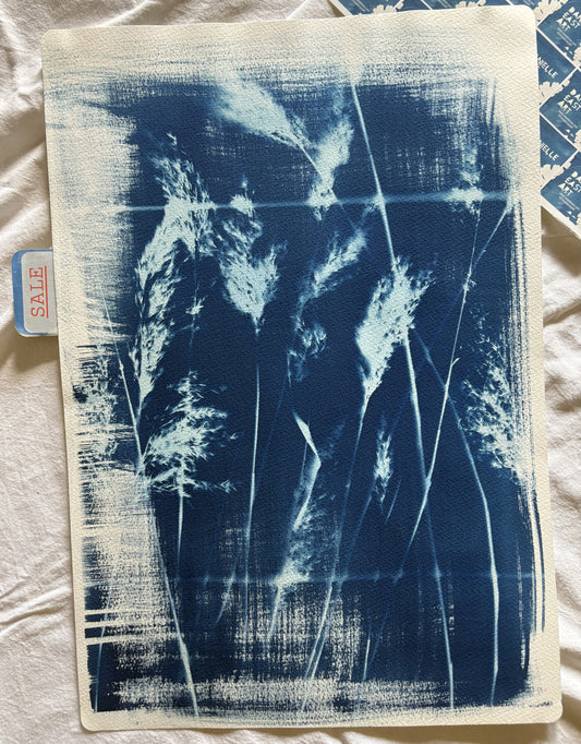 Framed Reeds (15x22") Original Print - SALE