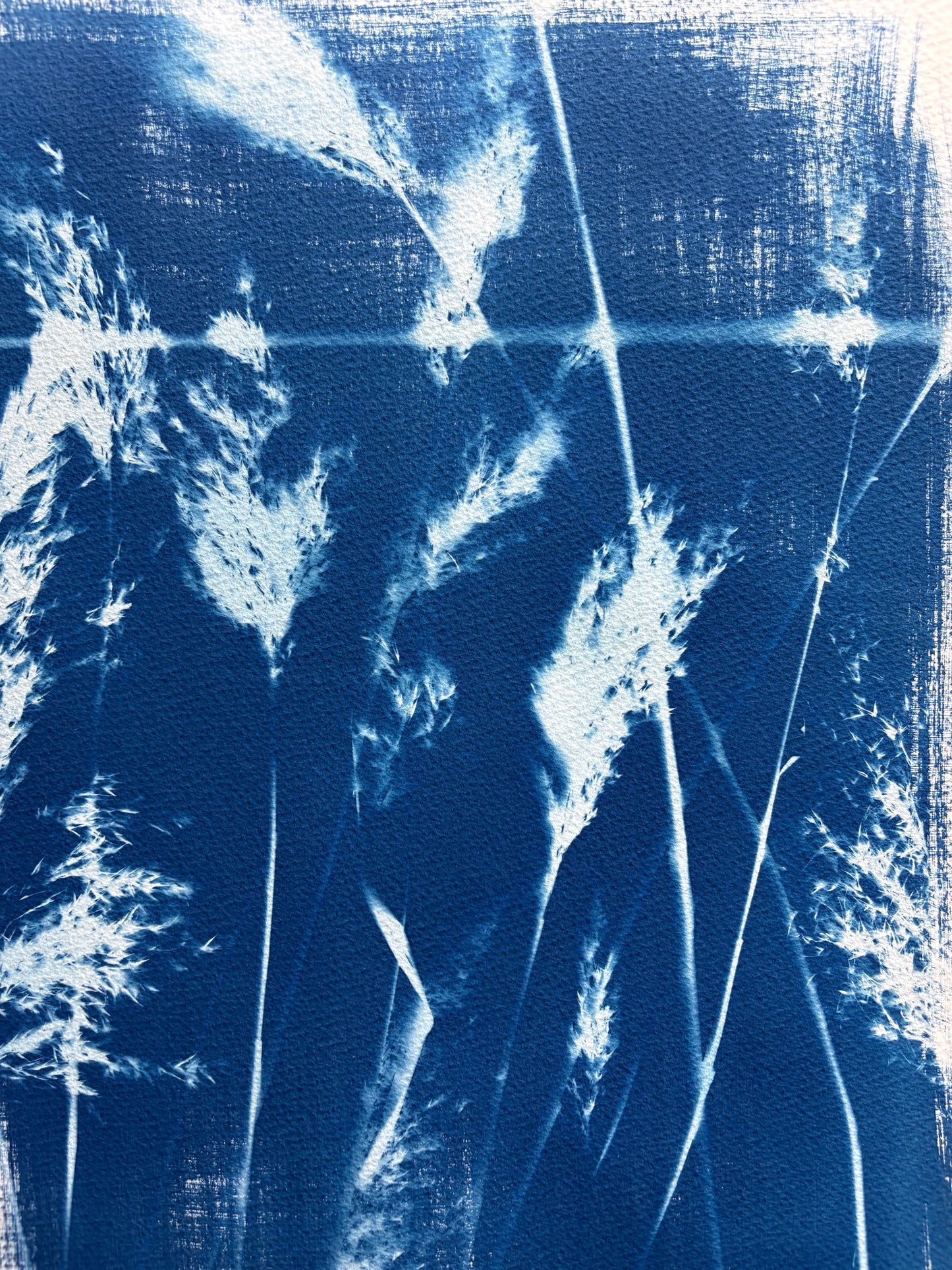 Framed Reeds (15x22") Original Print - SALE