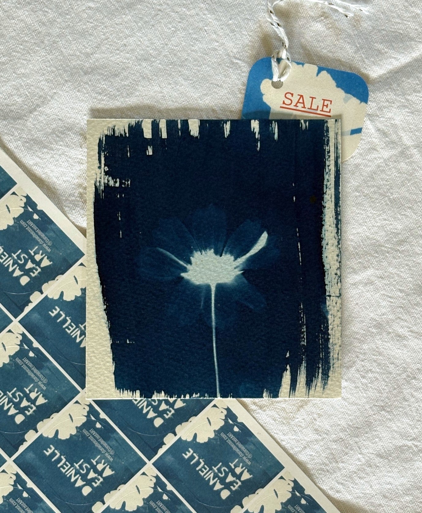 Pale Green Cosmos Overexposed - 12 x 12.5cm (approx) - Original Print - SALE