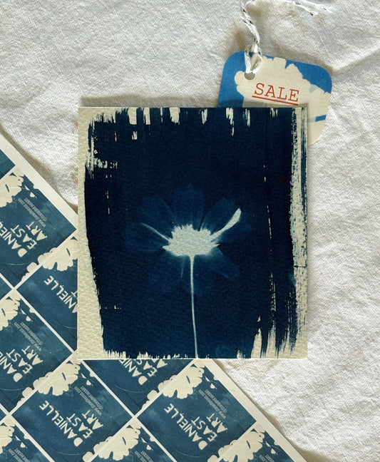 Pale Green Cosmos Overexposed - 12 x 12.5cm (approx) - Original Print - SALE