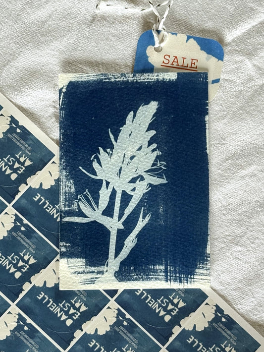 Camassia 14 x 9.5cm - Original Print - SALE