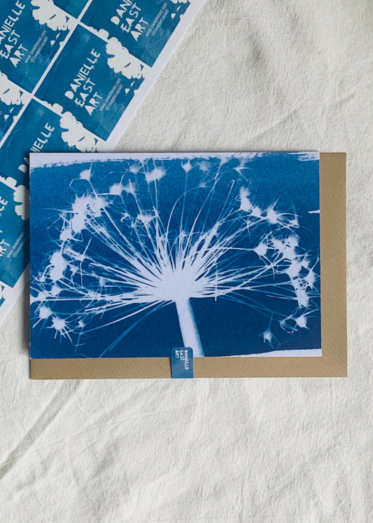 Allium Stripe - Cyanotype - Blank Card