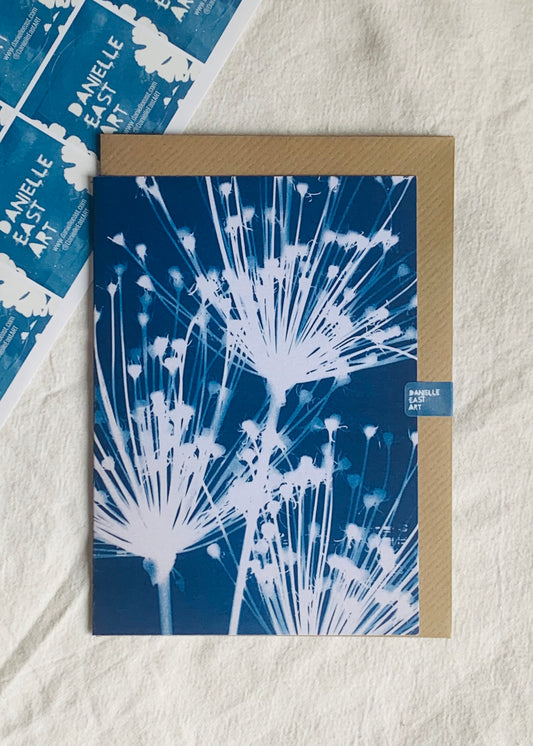 Spider Alliums - Cyanotype - Blank Card