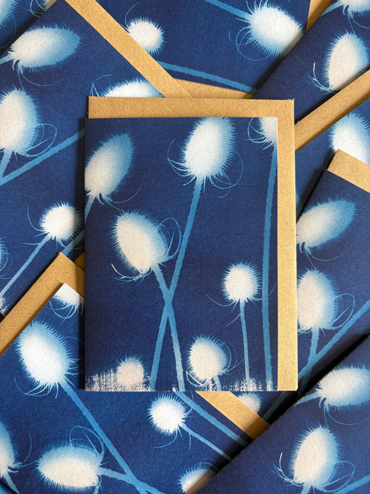 Teasel - Cyanotype - Blank Card