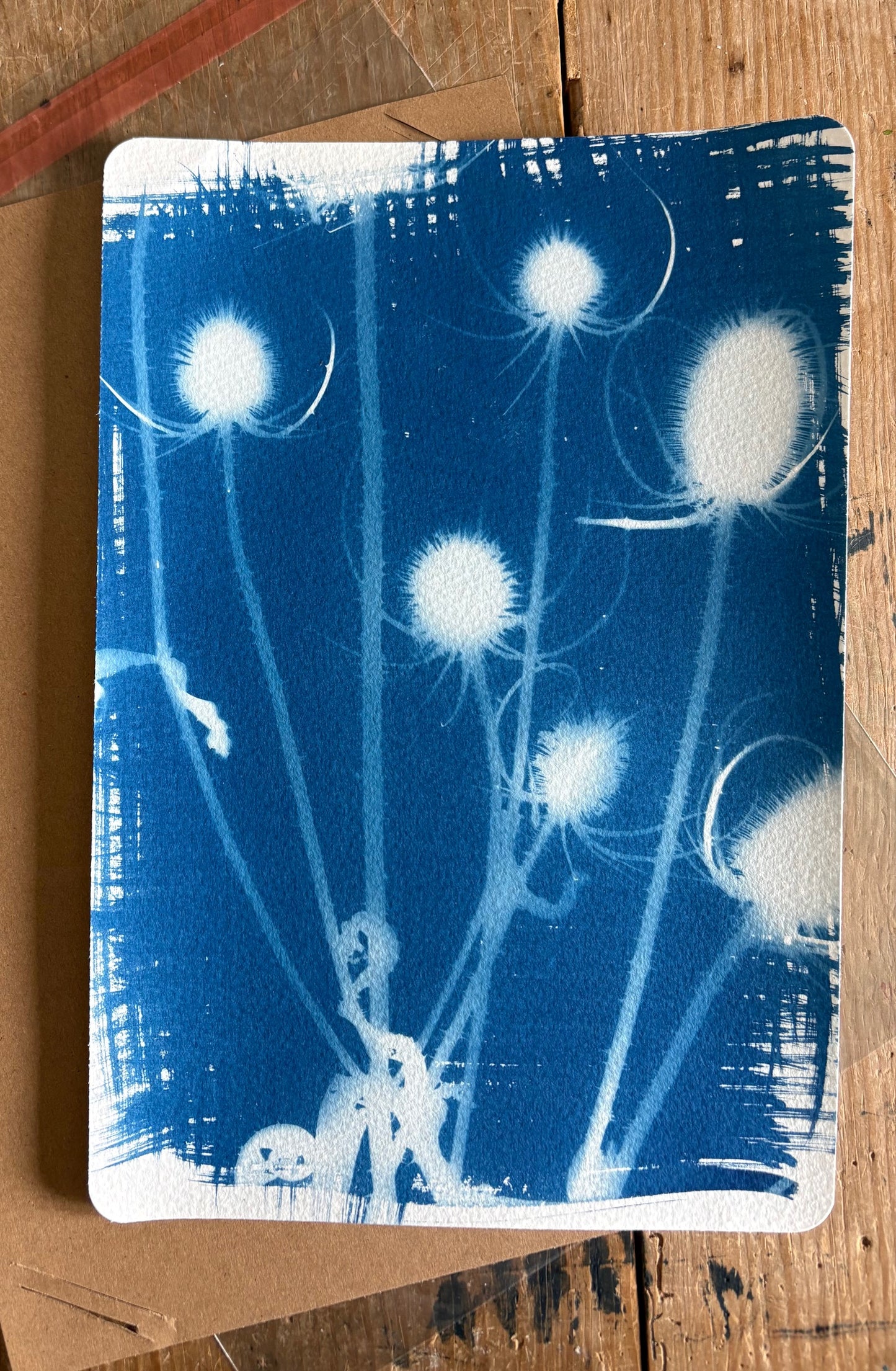 Teasel 19x28cm - Original Print