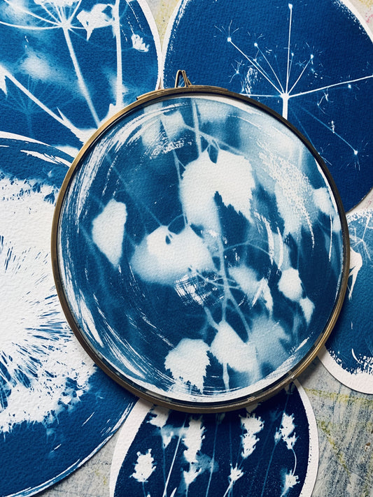 Birch Tree in-situe - Brass Framed Circle Cyanotype - 21.5cm Diameter