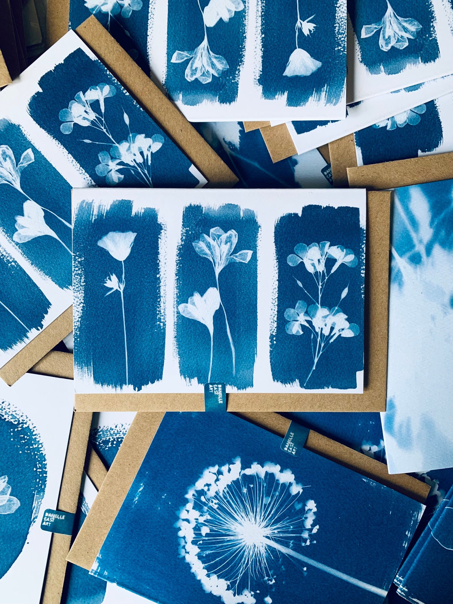 Trio 1 Cyanotype Greeting card of three stripes each with their own dried flower in