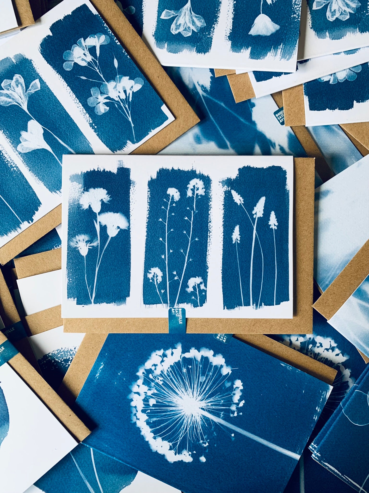 Trio 2  Cyanotype Greeting card of three stripes each with their own dried flower in