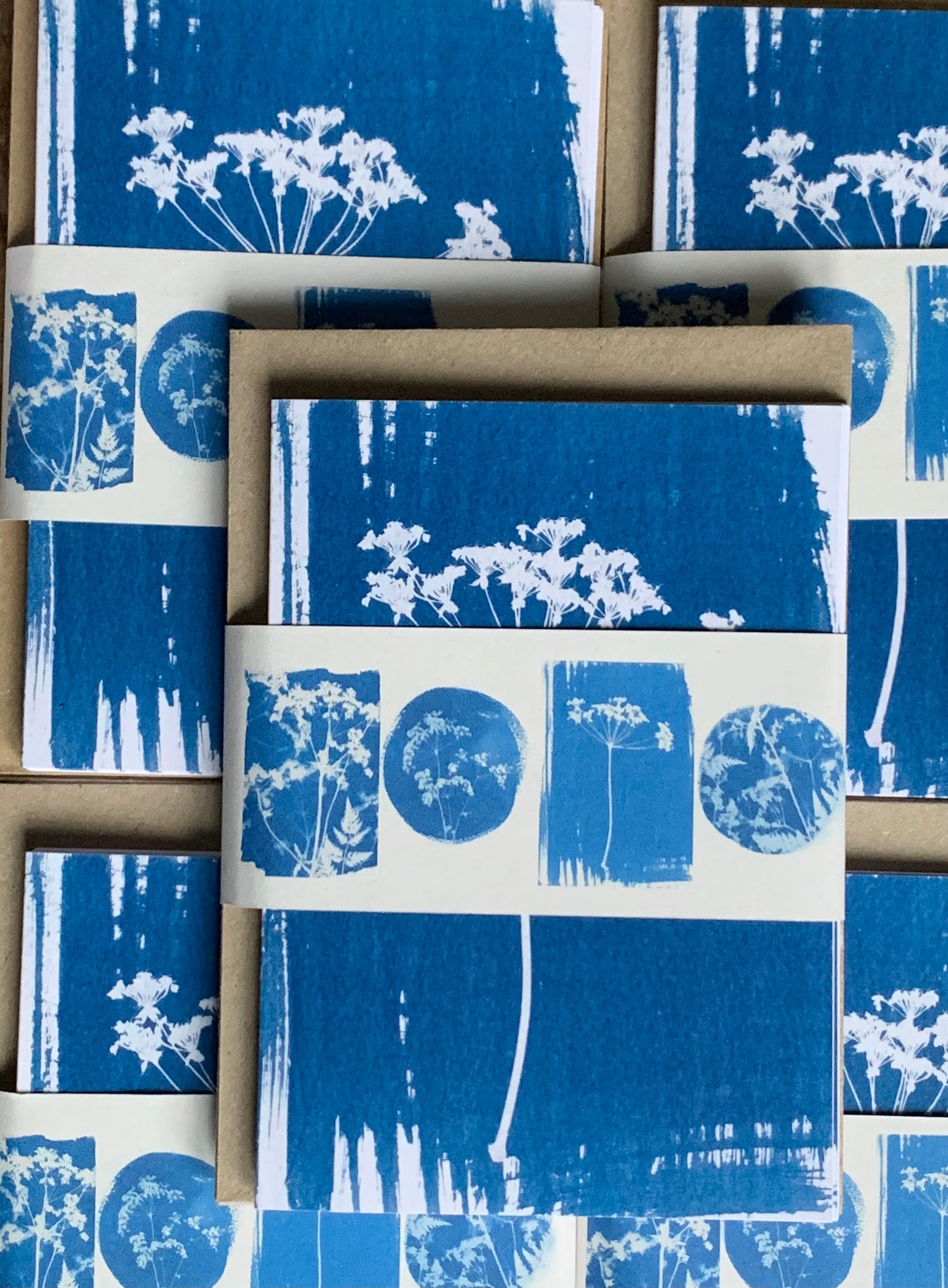 pack of Umbellifer Cyanotype Blank Greetings cardsfrom Danielle East ART