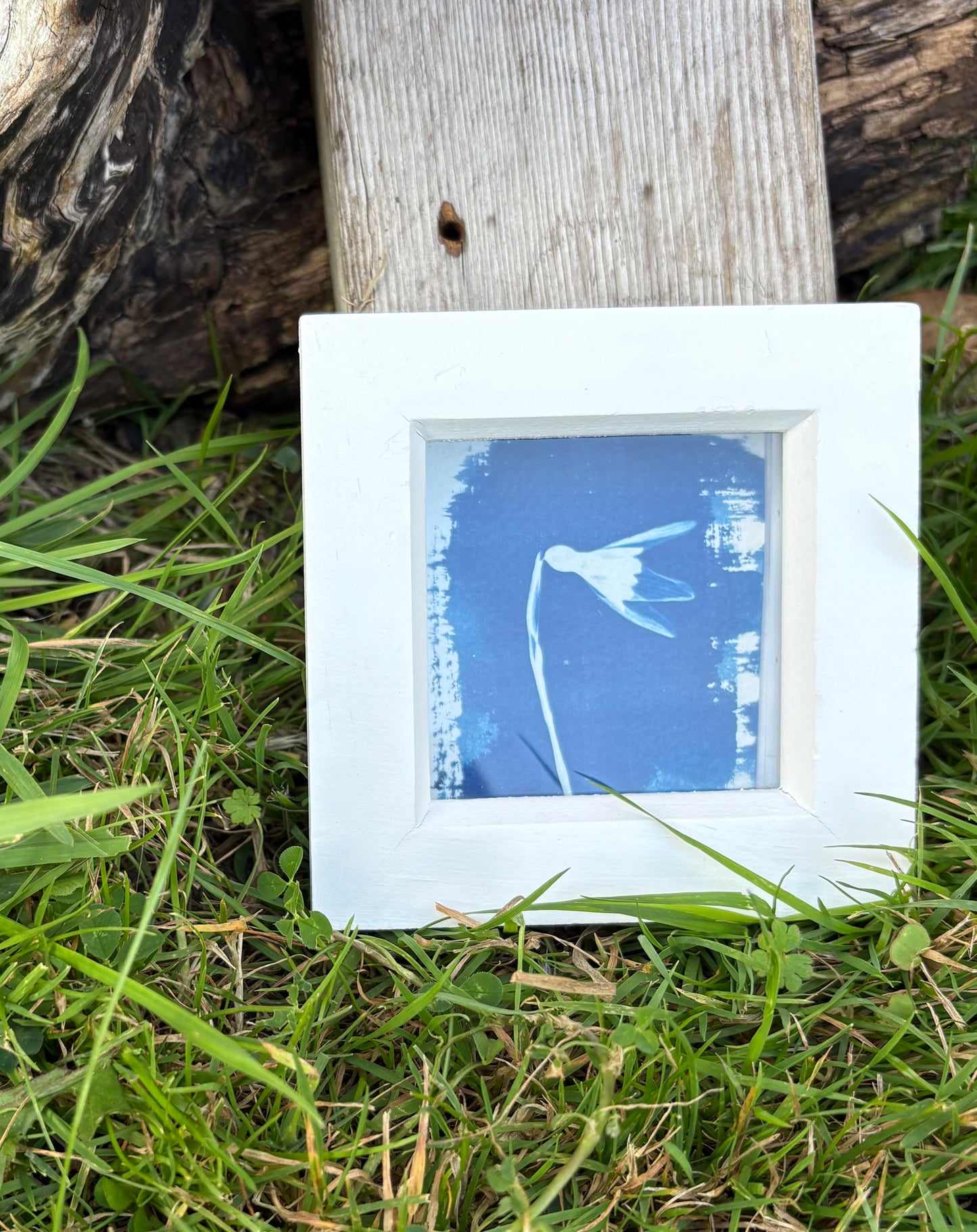 Snow Drop - white square glass box frame