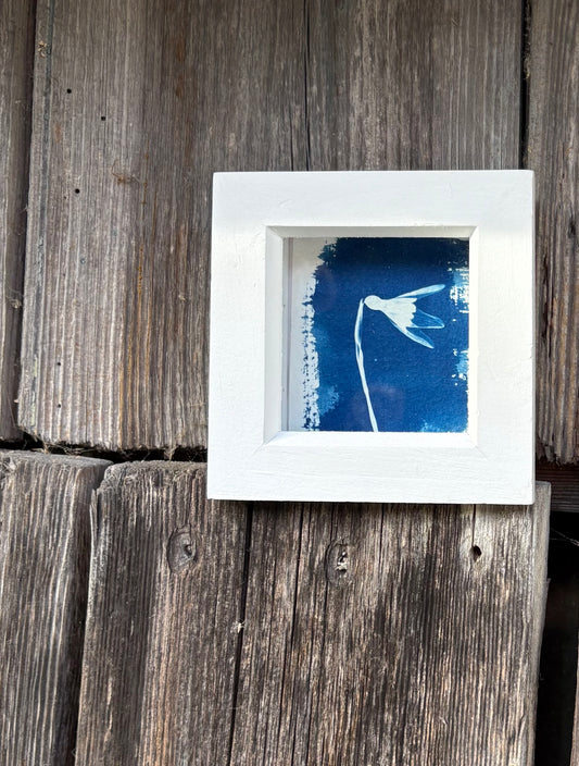 Snow Drop - white square glass box frame