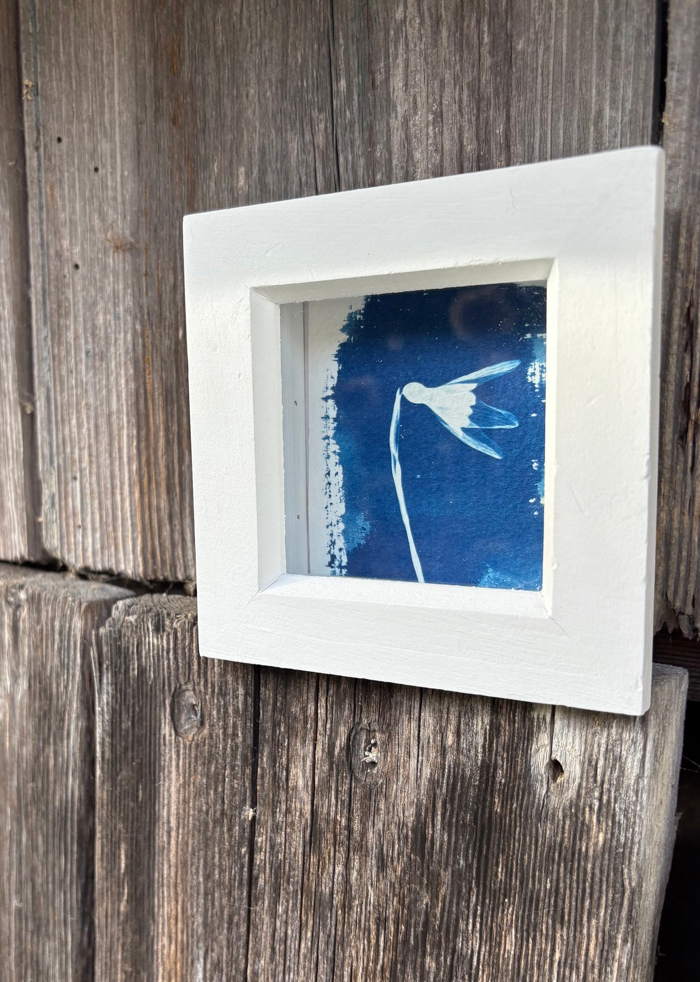 Snow Drop - white square glass box frame