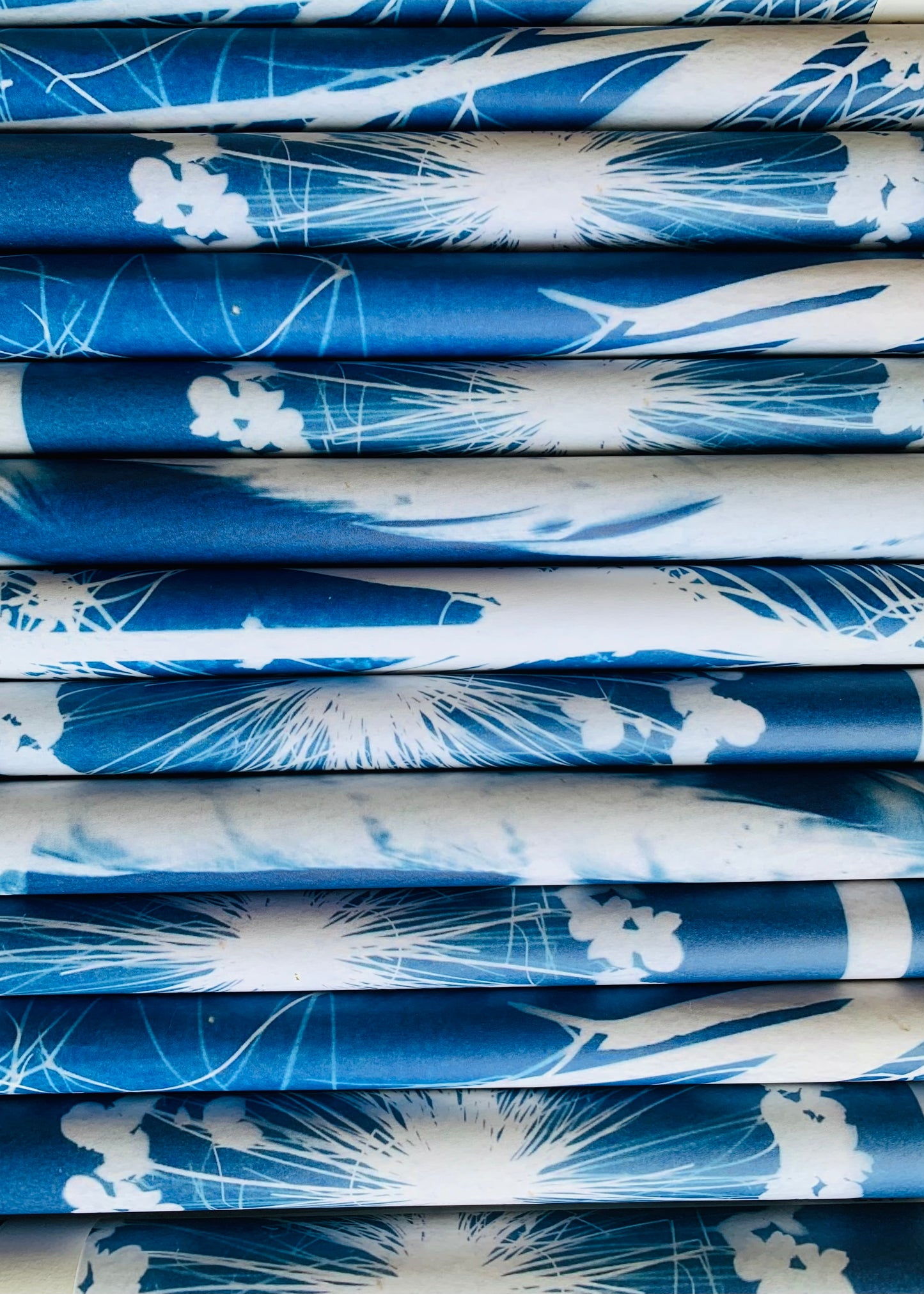 All the Flowers - Cyanotype - Gift Wrap