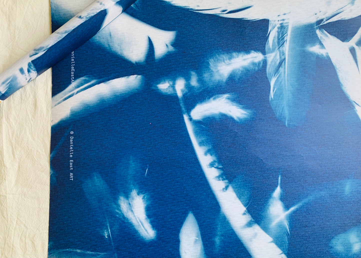 Feathers - Cyanotype - Gift Wrap