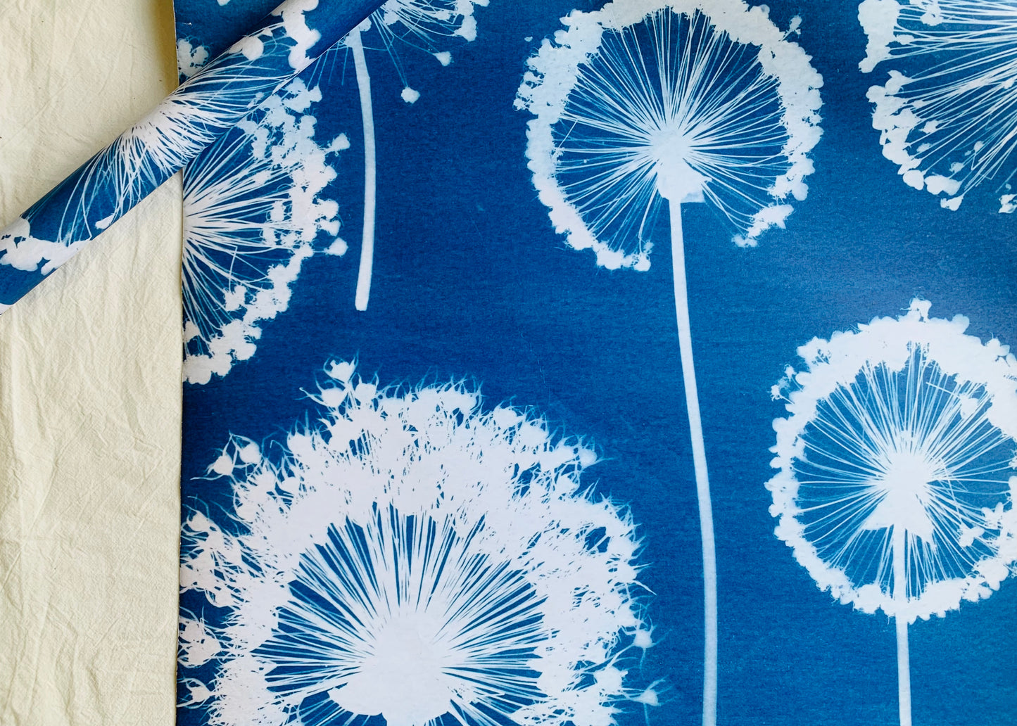 Allium Wallpaper - Cyanotype - Gift Wrap